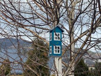 Lodge Lawendowe Wzg�rze 21