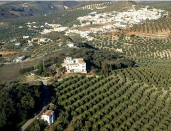 Cortijo La Umbria