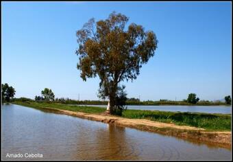 Agroturismo Casilla Del Mas D'avall