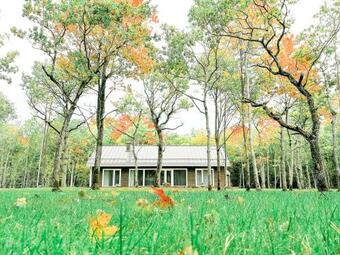 The Peaceful Vacation