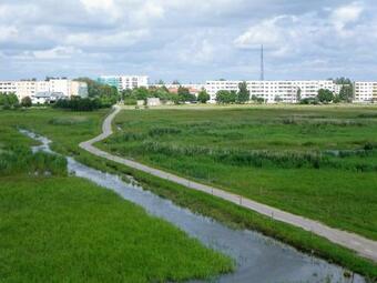 Apartamento Ruudu K�laliskorter