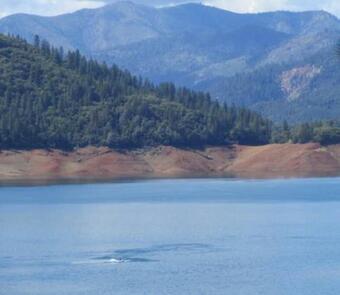 Shasta Lake Cabin