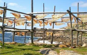 Nice Apartment In Muxia With Internet And 2 Bedrooms