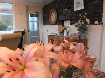 Hostal Bluebird Lodge