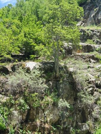 Villa Atilla's Guest House- In Lahij