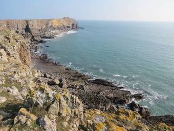 Hostal Elm Grove Country House