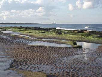 Hostal The Pines Guest House