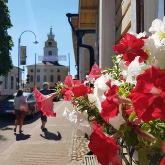 Villa De Pikku Maria