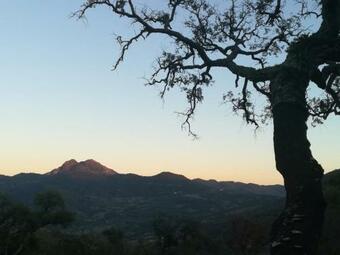 Casa Rural Lepanto 28