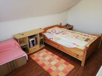 �gica Vend�gh�z