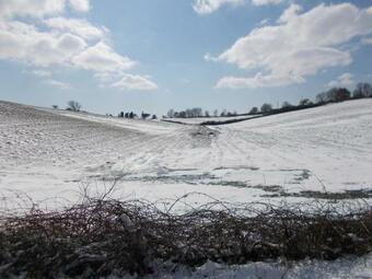 Casavacanze Pergolino Del XVIII Secolo Immersa Nel Verde