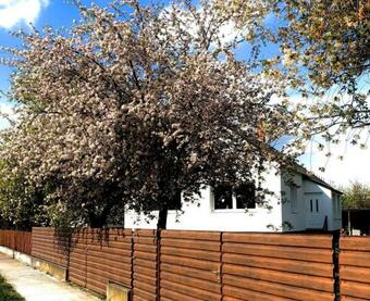 Hostal Lali Vend�gh�z