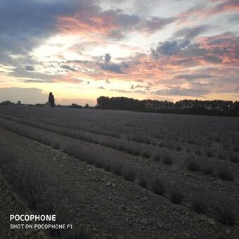 Apartamento Abrivado