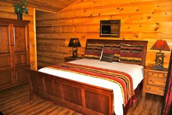 Monkey Puzzle Cottage