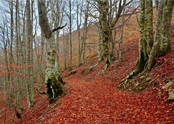 3 Bedrooms House With Balcony And Wifi At Berroeta