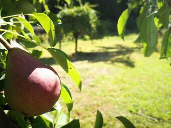 Apartamento Geschmackvolle Ferienwohnung Am Ahrsteig