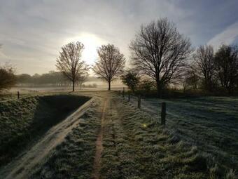 Basic Natuurhuisje Bij Beerze