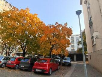 Apartment Close2park ***