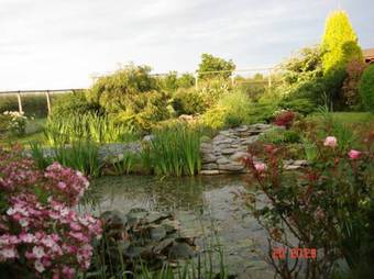 Bed & Breakfast Pointers Guest House