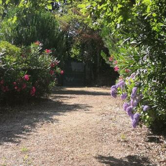 Quinta Do Soldado - Com Piscina E Jardim Privado - Totalmente Renovada 2021