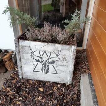 Bed & Breakfast Cottage Spa Ada