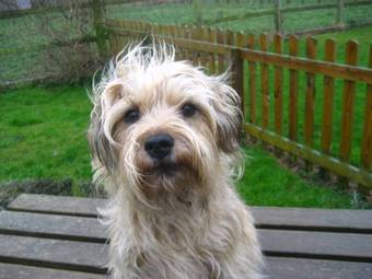 Bed & Breakfast Eastbrook Cottage