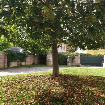 Bed & Breakfast Vransko29-blueroom1980