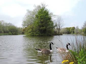 Lodge Lakeview Country Club