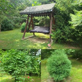 Hostal Rausor Traditional