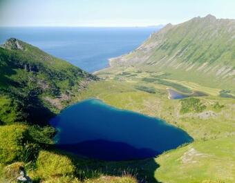 Cozy Cabin In Central Lofoten With Beautiful Ocean View