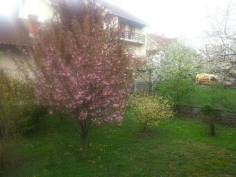 Hostal Greenery House