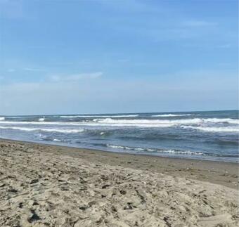 Zeni Kona?? - Tatil Evi