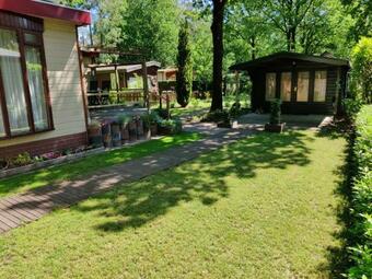 2-5 Pers Chalet In Bosrijke Omgeving Op Chaletpark Kempenbos Naast Duc De Brabant