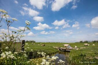 Schreiershoek Luxe Vakantiehuis 10