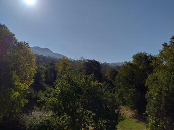 Villa Casa Amarante Porto