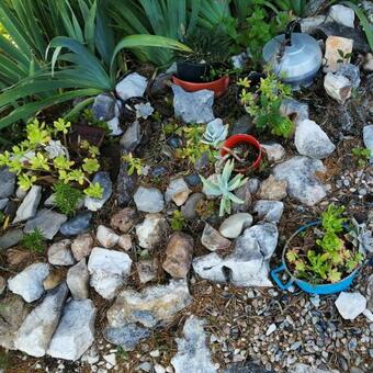 Turismo Rural Casa Da C�u