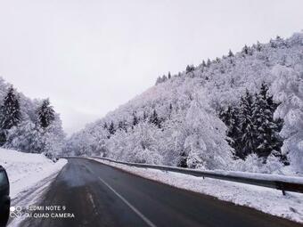 Cabana Piatra Plaiului