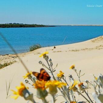 Apartamento Est�dio Conceito Aberto - 3 Pessoas