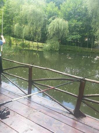 Hostal Resort Codrii Vlasinului