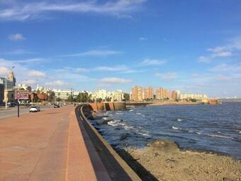 Cálida Habitación Privada En Barrio Sur En Apartamento Compartido