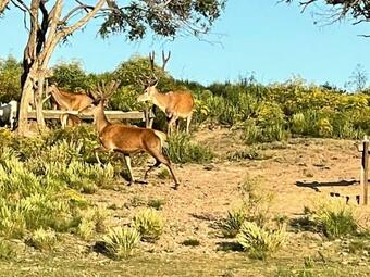 Villa Estancia La Patrulla Uruguay