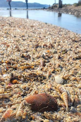 New Apartments ?kofije Ankaran