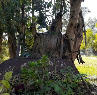 Apartamento Es Mi Rancho