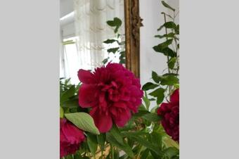 Apartamento Welcome To Enjoy Maribor !