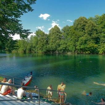 Big Berry Honeyberry Mobile House