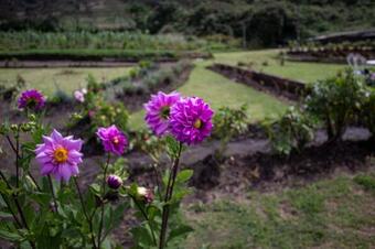 Hotel Tuparina Lodge