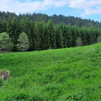 Lodge Hubert�wka Czapiewice