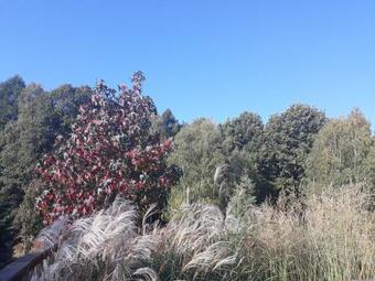 Lodge Winnica D?bog�ra