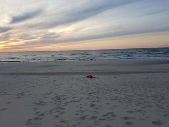 Lodge Domki Z Klimatem