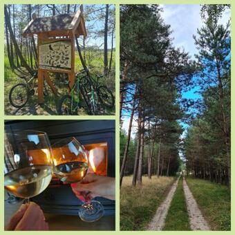 Lodge Ostoja Relaksu Cieciorka